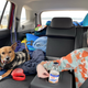 Image for article titled The 2022 VW Taos Is Like Market Research In Vehicular Form